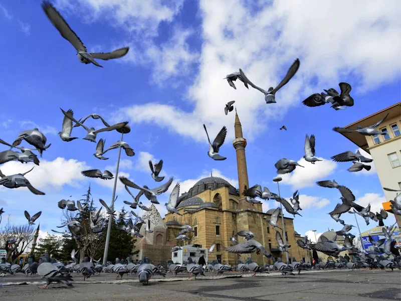 ŞERAFEDDİN CAMİİ