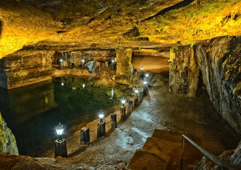 CEHENNEMAĞZI MAĞRALARI