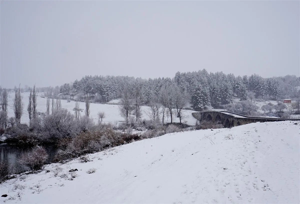 Devegeçidi Köprüsü