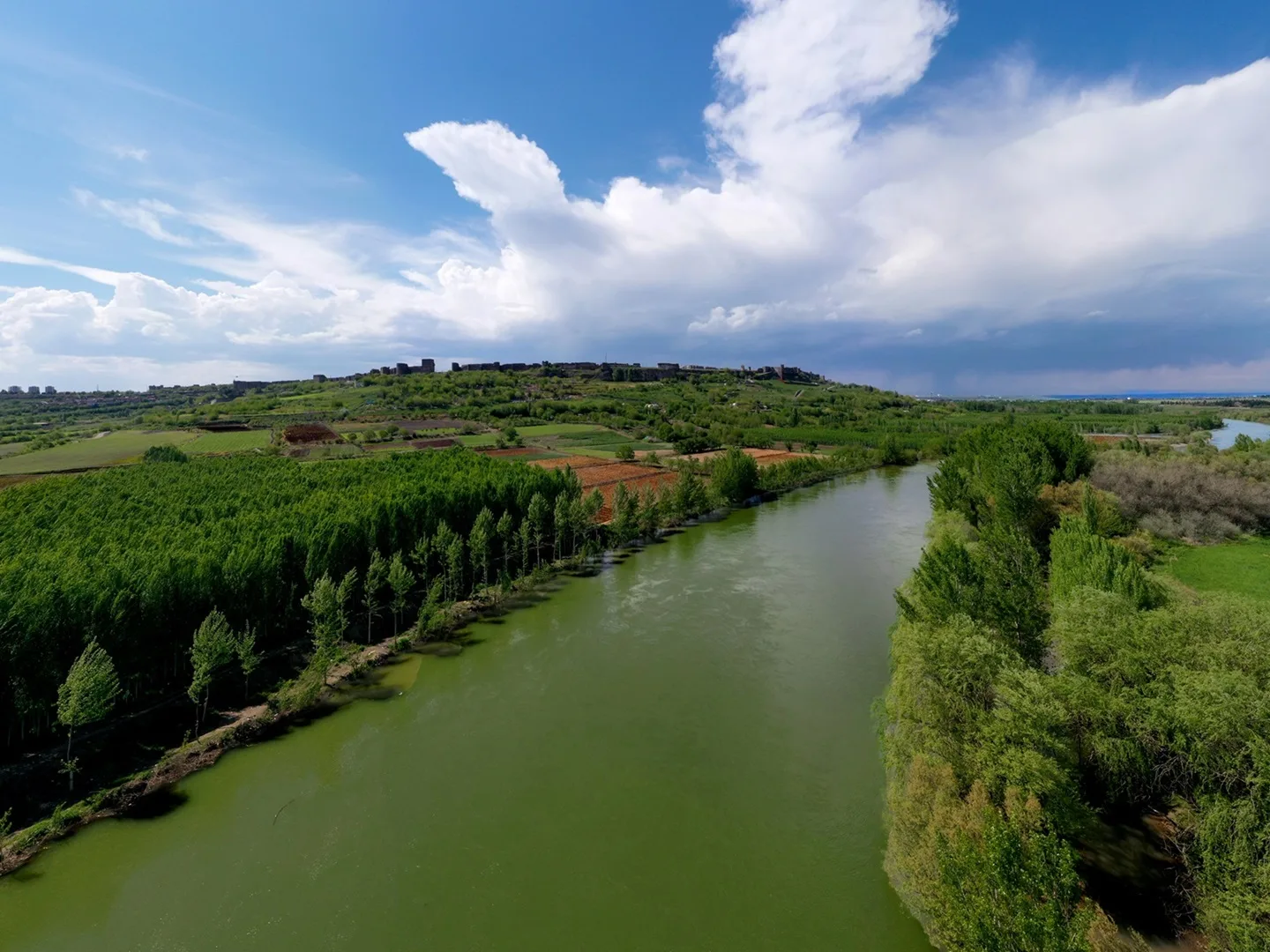 Dicle Nehri