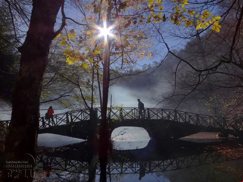 Yedigöller Milli Parkı