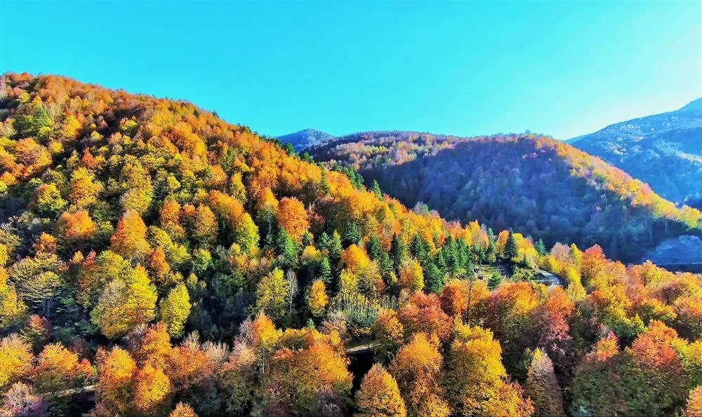 Güzeldere Şelalesi Tabiat Parkı
