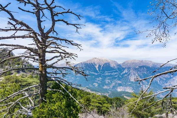 Dastaratacağı Dağı